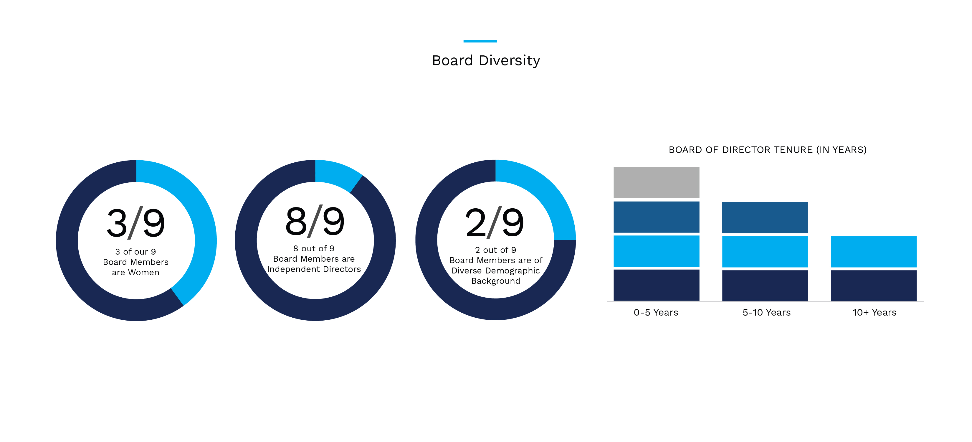 board diversity.jpg